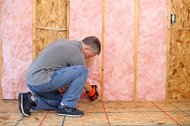 Best Fiberglass Insulation in Farm Loop, AK