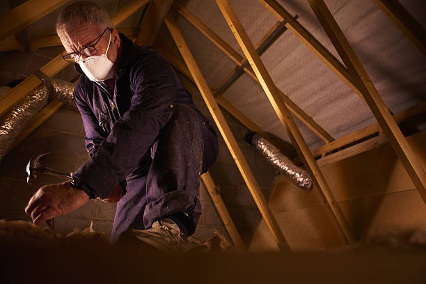 Best Energy Efficiency Insulation in Farm Loop, AK